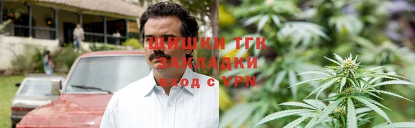 дживик Бронницы