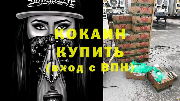 дживик Бронницы