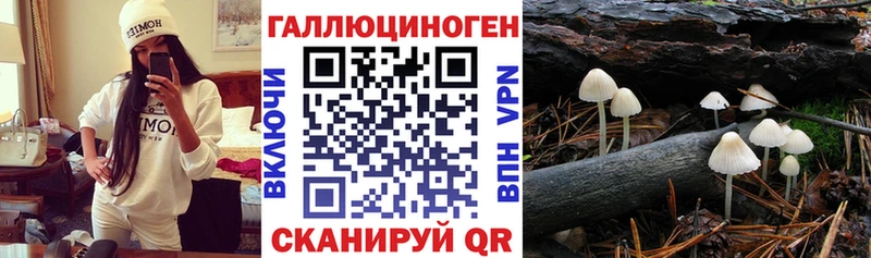 Галлюциногенные грибы мицелий  купить наркотики сайты  ссылка на мегу ONION  Котельниково 
